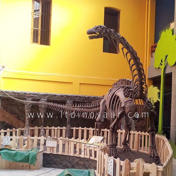 Esqueleto de apatosaurio