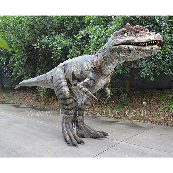 Dinosaur Costume