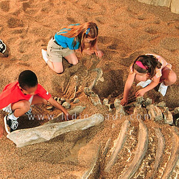 Dig Dinosaur Fossils