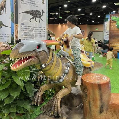 Rocking Dinosaur Rides
