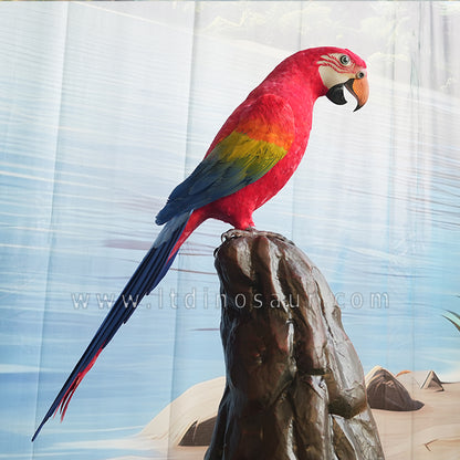 Bird Robotic Animatronic Parrot