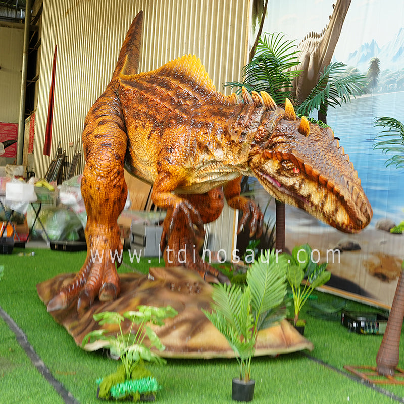 This is a animatronic Giganotosaurus, It's 6 meters in length. It is a posture about to hunt.