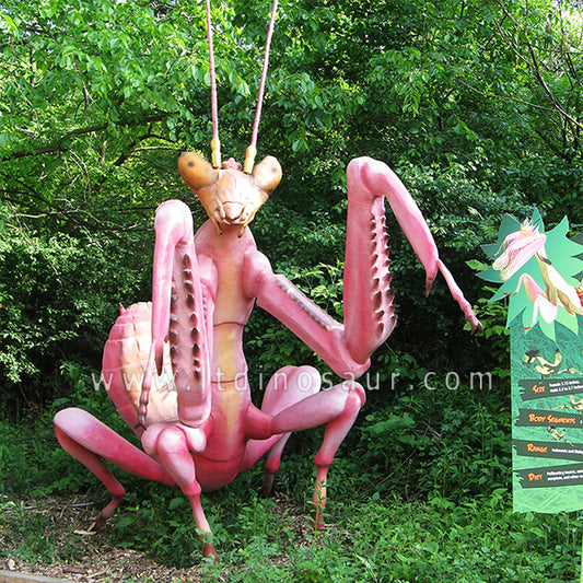 Proyectos creativos de granja Mantis orquídea animatrónica
