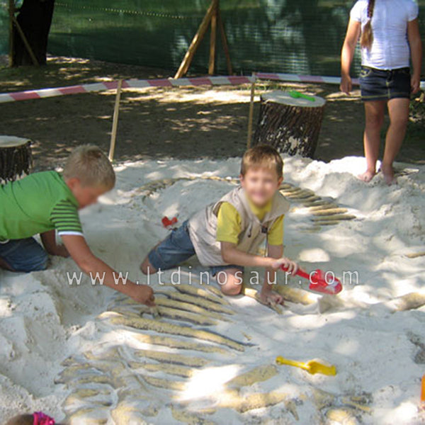 Dig Dinosaur Fossils