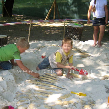 Dig Dinosaur Fossils