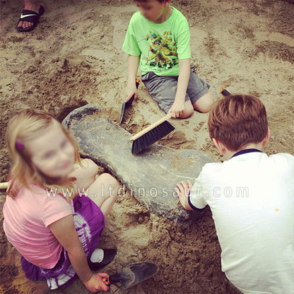 Dinosaur Fossils Digging Game