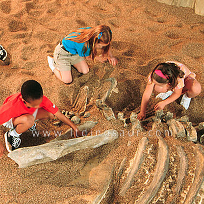 Dig Dinosaur Fossils