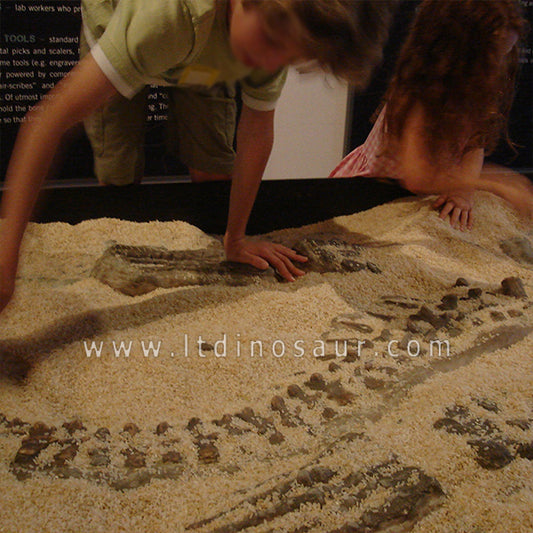 Dinosaur Fossils Digging Game