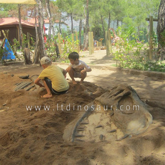 Dig Dinosaur Fossils
