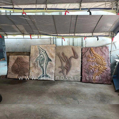 Prehistoric Animal Fossils Plate